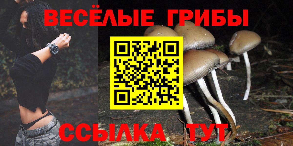 Псилоцибиновые грибы прущие грибы  Псилоцибиновые грибы Psilocybine cubensis  Вход с VPN  Альметьевск 