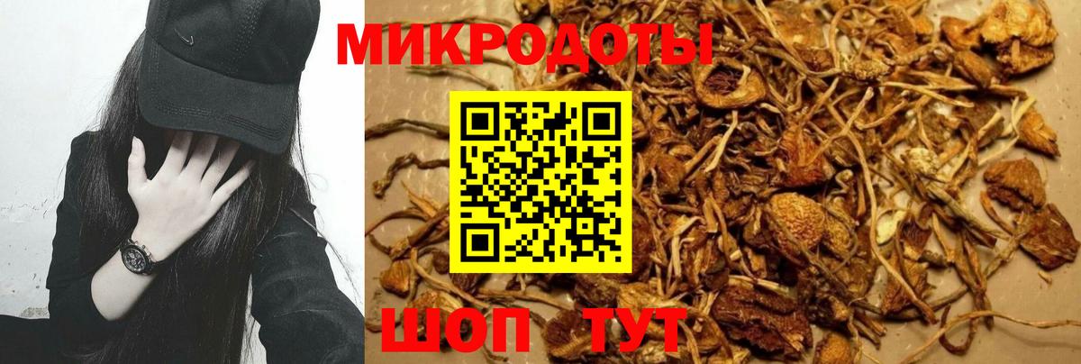 Псилоцибиновые грибы ЛСД Альметьевск